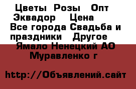 Цветы. Розы.  Опт.  Эквадор. › Цена ­ 50 - Все города Свадьба и праздники » Другое   . Ямало-Ненецкий АО,Муравленко г.